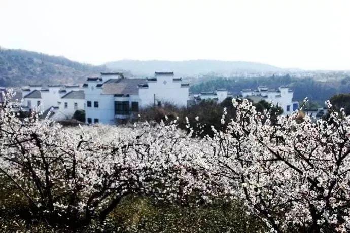 众合白杨影视科技：摄影机运动的艺术：推、拉、摇、移技巧解析