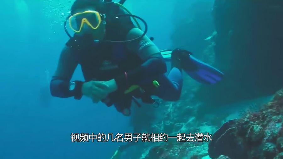 2月23日—24日!日照“春风行动”招聘会等您来!